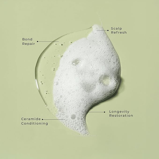 LolaVie Restorative Shampoo - 8.5 oz - Repairs Look of Damage, Protects from Breakage, Reduces Frizz for 12x Softer, Smoother Hair - Gentle, Color Safe - All Hair Types