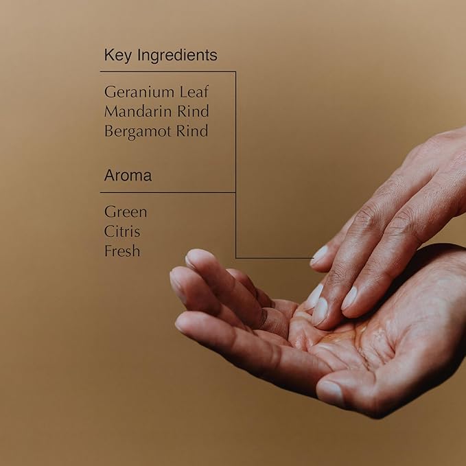 Aesop Geranium Leaf Body Cleanser - Invigorating Gentle Cleansing Gel - Green, Citrus, Fresh - 16.9 fl oz