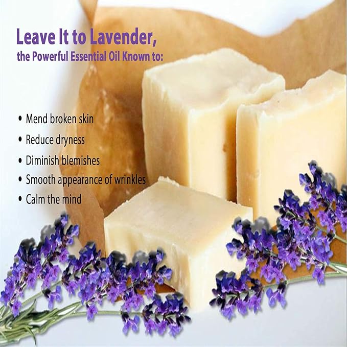 Vintage Tradition Beef Tallow All Purpose Balm - Healing, Hydrating Lavender Skin Care Salve Replaces Body Lotion, Hand Cream, More - Essential Oil, Olive Oil, and Grass-Fed Tallow, 2 fl. oz.