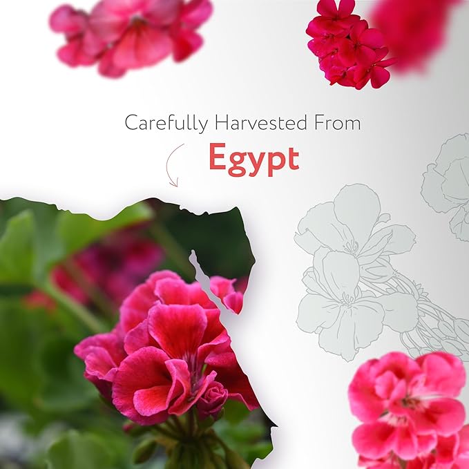 HBNO Organic Geranium Essential Oil - 1 oz (30ml) - USDA Certified Organic Geranium Essential Oil for Aromatherapy, Soap Making, DIY, Fragrances, Diffuser.