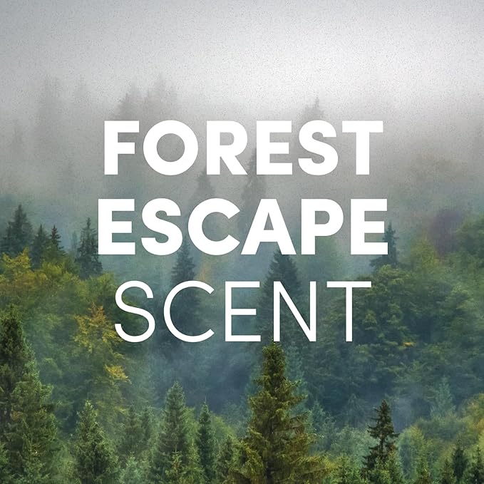 Clean Revolution Ready to Use Foaming Hand Soap| Three Pack | Jumbo 15oz Bottles | Gentle, Moisturizing & Eco-Friendly | Real Essential Oils | Forest Escape | 45 Total Fl Oz, Clear