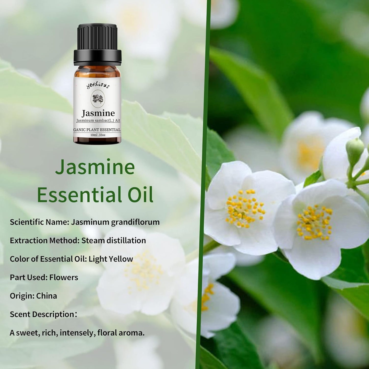 yethious Rose Jasmine Chamomile Essential Oil Set Organic 100% Pure Aromatherapy Oil for Diffuser, Soap, Candle Making 3 X 10ML