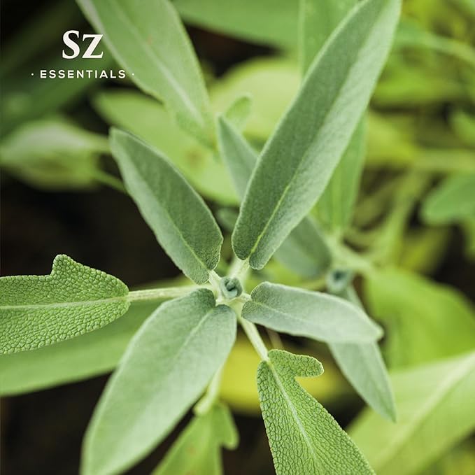 Lemon Verbena Essential Oil – 100% Pure & Natural, Grown in The High-Altitude Andes – Sweet, Citrusy, Uplifting Scent – Aromatherapy, Home Use – Therapeutic Grade & Vegan – 5 mL