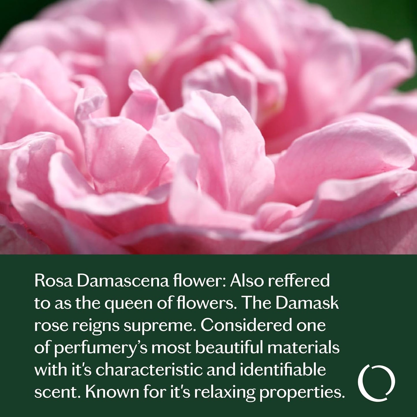 LIVEDROPS 24/7 Sleep Good Essential Oil Blend - Crafted in France - Lavender & Rose - Pure & Natural - Aromatherapy - Skin Safe & Diffuser Compatible - Clinically Tested