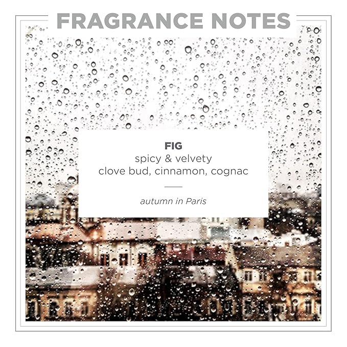 Zents Hand & Body Wash (Fig Fragrance) | Hydrating Anti-Aging Cleanser with Organic Shea Butter & Aloe for Dry Skin | Gentle & Nourishing | 10 fl oz