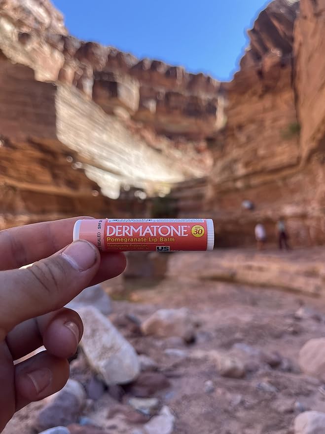 Dermatone Pomegranate Lip Balm | Moisturizing | Aloe and Vitamin E | Soothe & Replenish Chapped Lips | 3-pack (Pomegranate, 0.15oz sticks)
