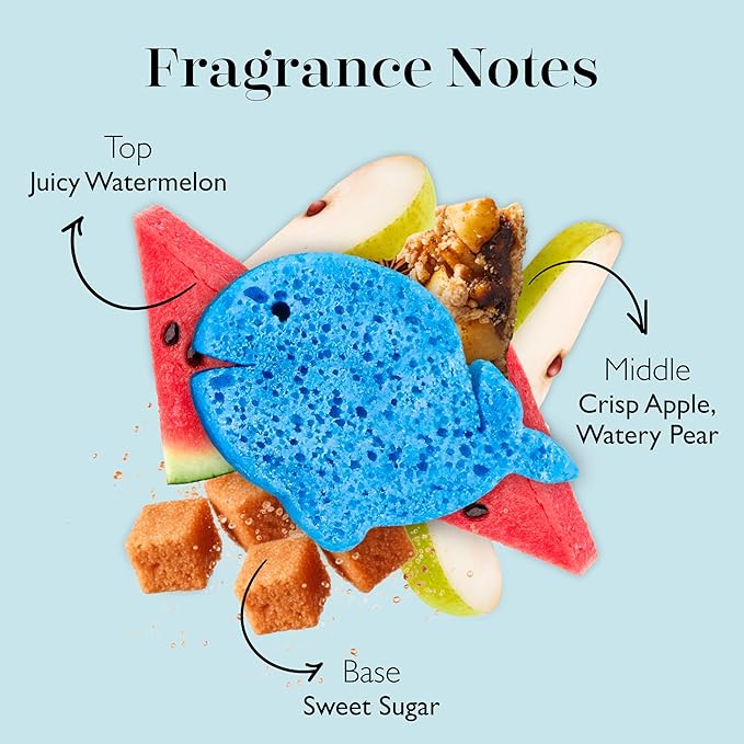 Spongelle Sea Animals Walter Whale