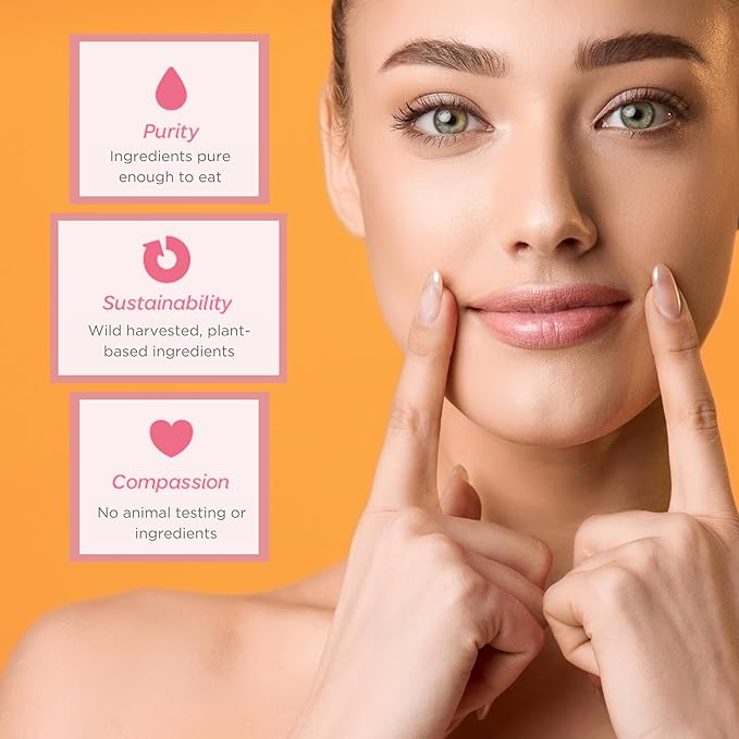 Natural Lip Butter Lip Balm - Ginger Lemon - Pure Enough to Eat - Made With Just 6 Vegan Ingredients - 100% Natural & Organic Moisturizing Lip Care for All Day Hydration (3-Pack)