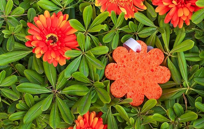 SPONGELLÉ Lily of The Valley Wild Flower