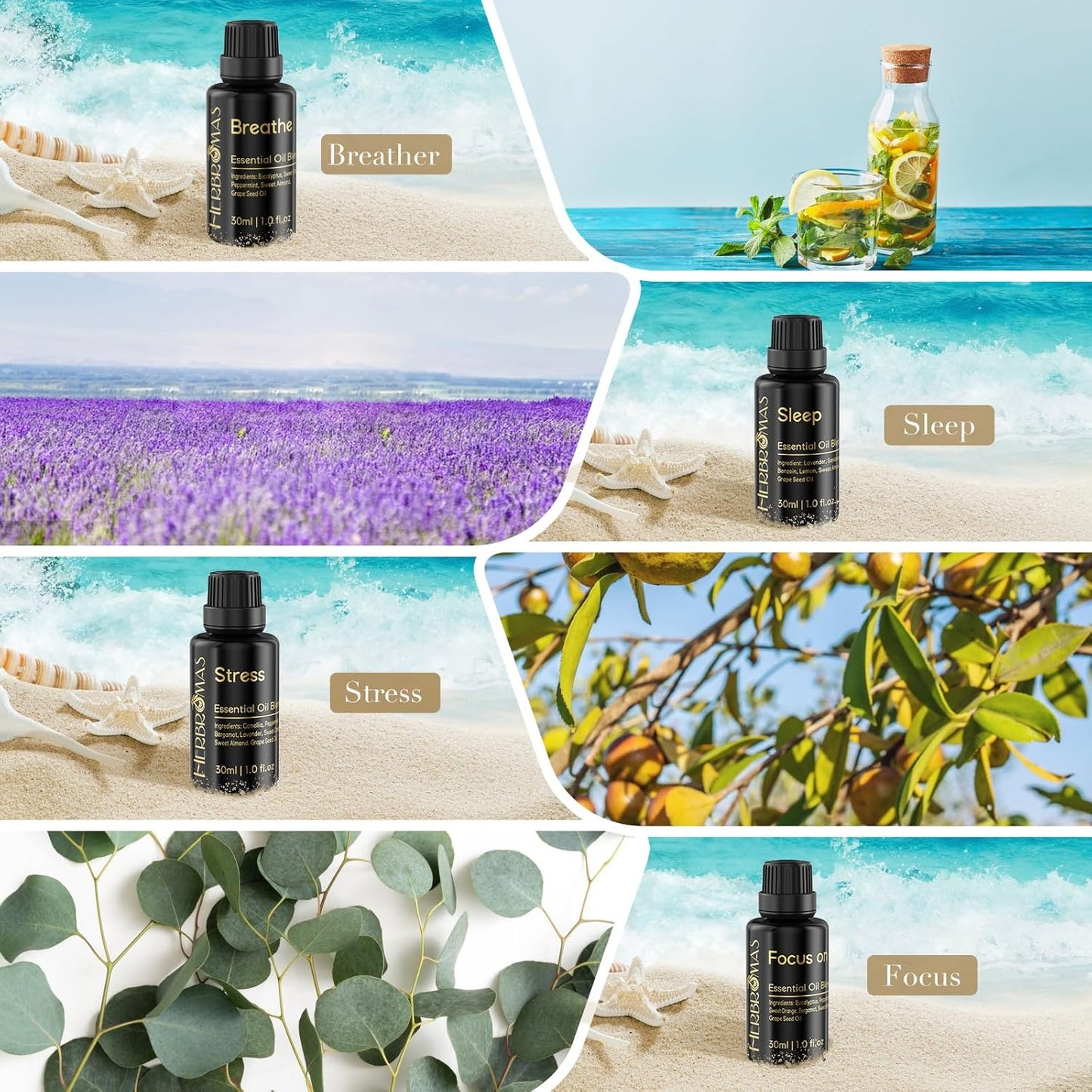 Pre-Diluted Aromatherapy Essential Oils Blend, Natural Plant Essential Oils Refill for Roll-on (Sleep, 1)