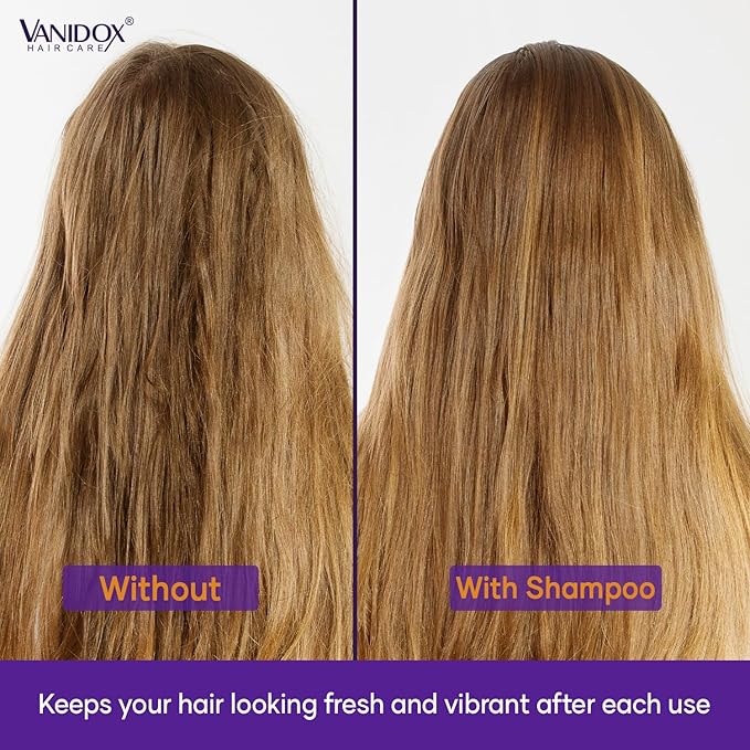 Sulfate Free Brass Toning Purple Shampoo and Conditioner Set for Blondes, Brown Highlighted, or Bleached Hair, Shampoo for Blondes Infused with Purple Rice Extract (16 fl oz each)