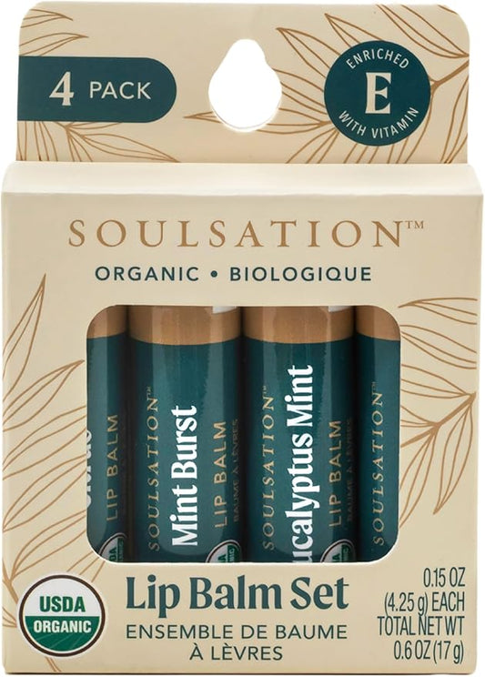 Organic Lip Balm Set, 4 Flavors - Moisturizing for Cracked & Dry Lips