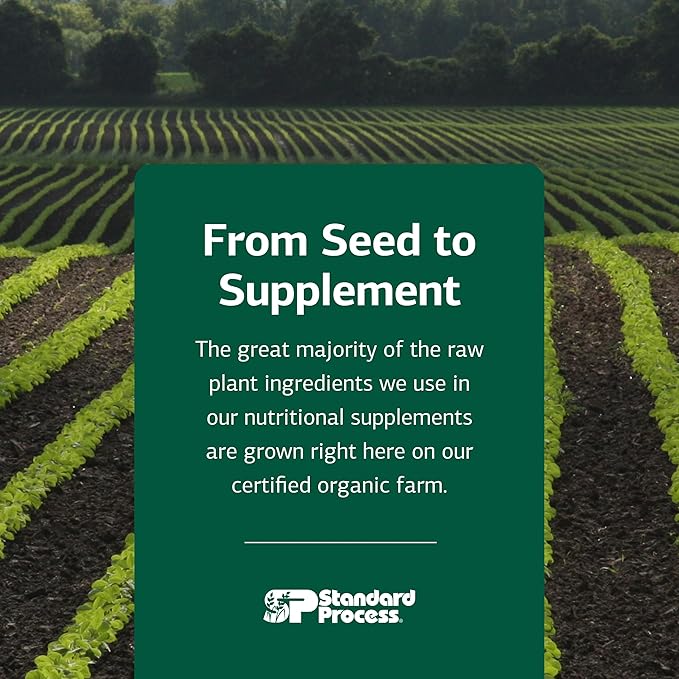 Standard Process USF Ointment - Supports Soft, Healthy Skin - Moisturizing Skin Cream for Dry Hands & Body - 1.8 oz